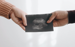 Когда можно беременеть после выкидыша — мнение генетиков